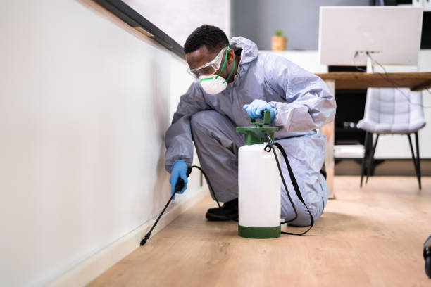 Best Residential Pest Control  in Wyldwood, TX